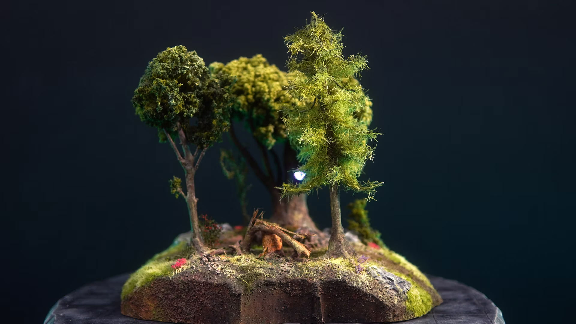 Forest terrain