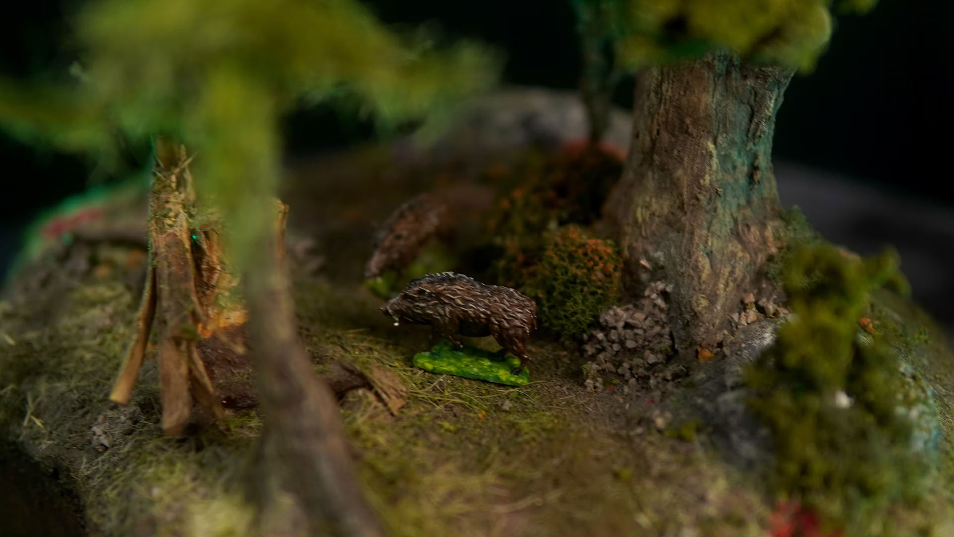 Wild boar minis in the forest