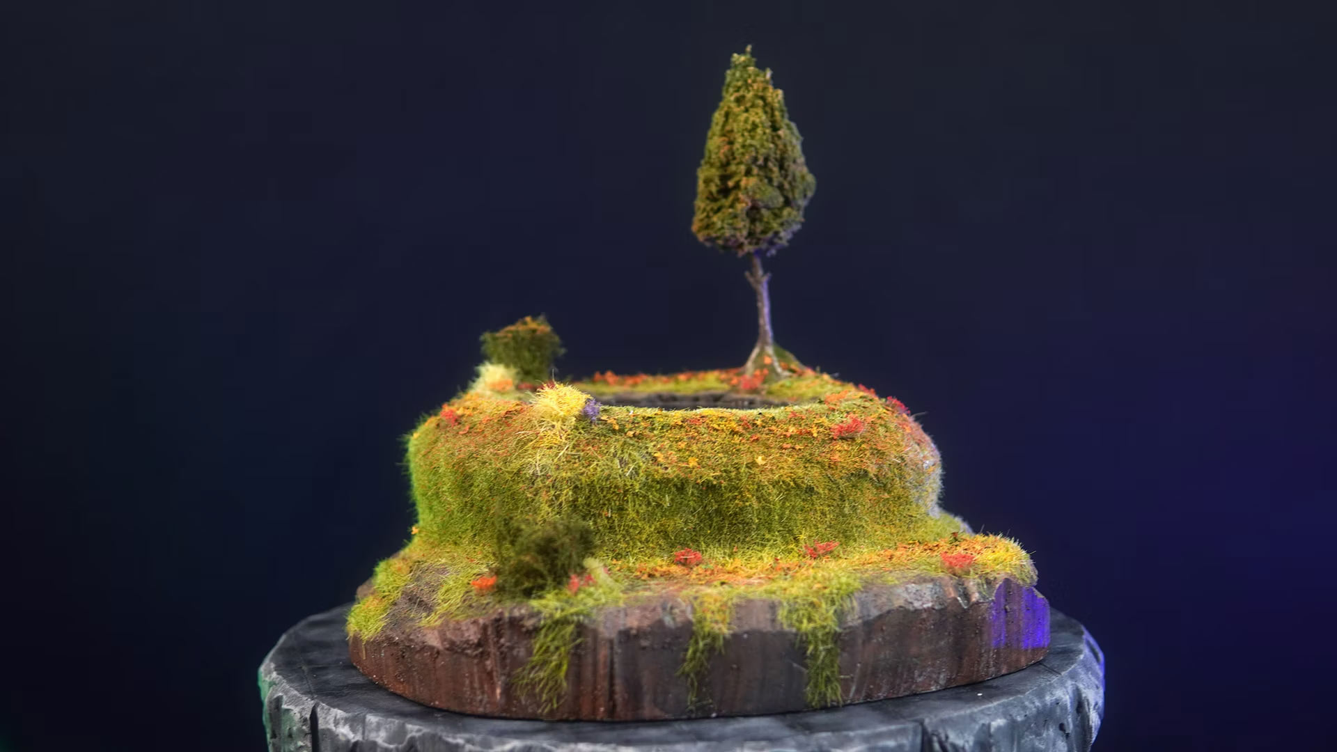 Pond terrain